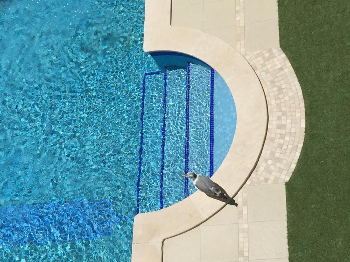 3 Min Walking To Peneco Beach Albufeira At Sol A Sul Apartments Buitenkant foto